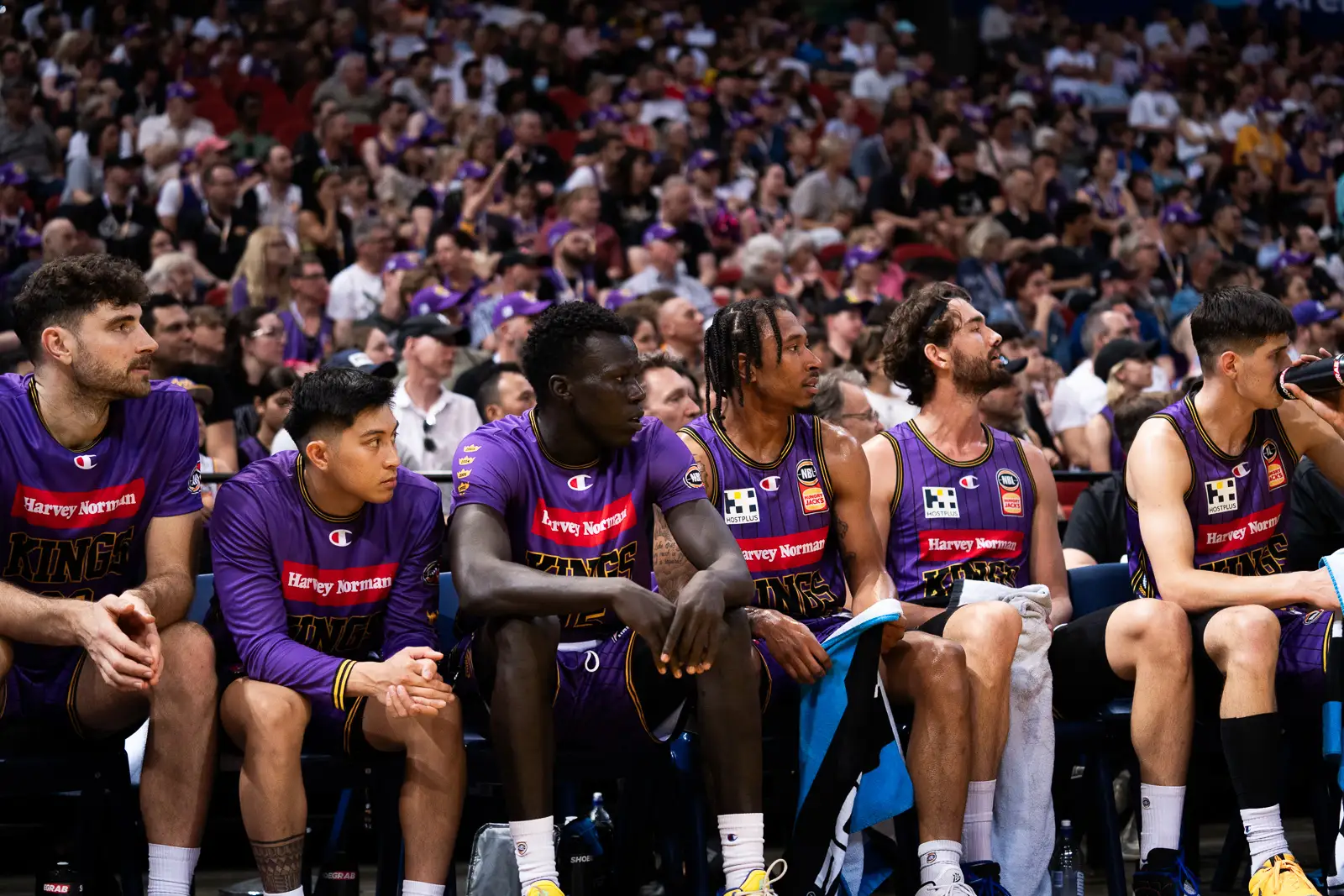 sydney kings nbl basketball players on the bench at qudos bank arena