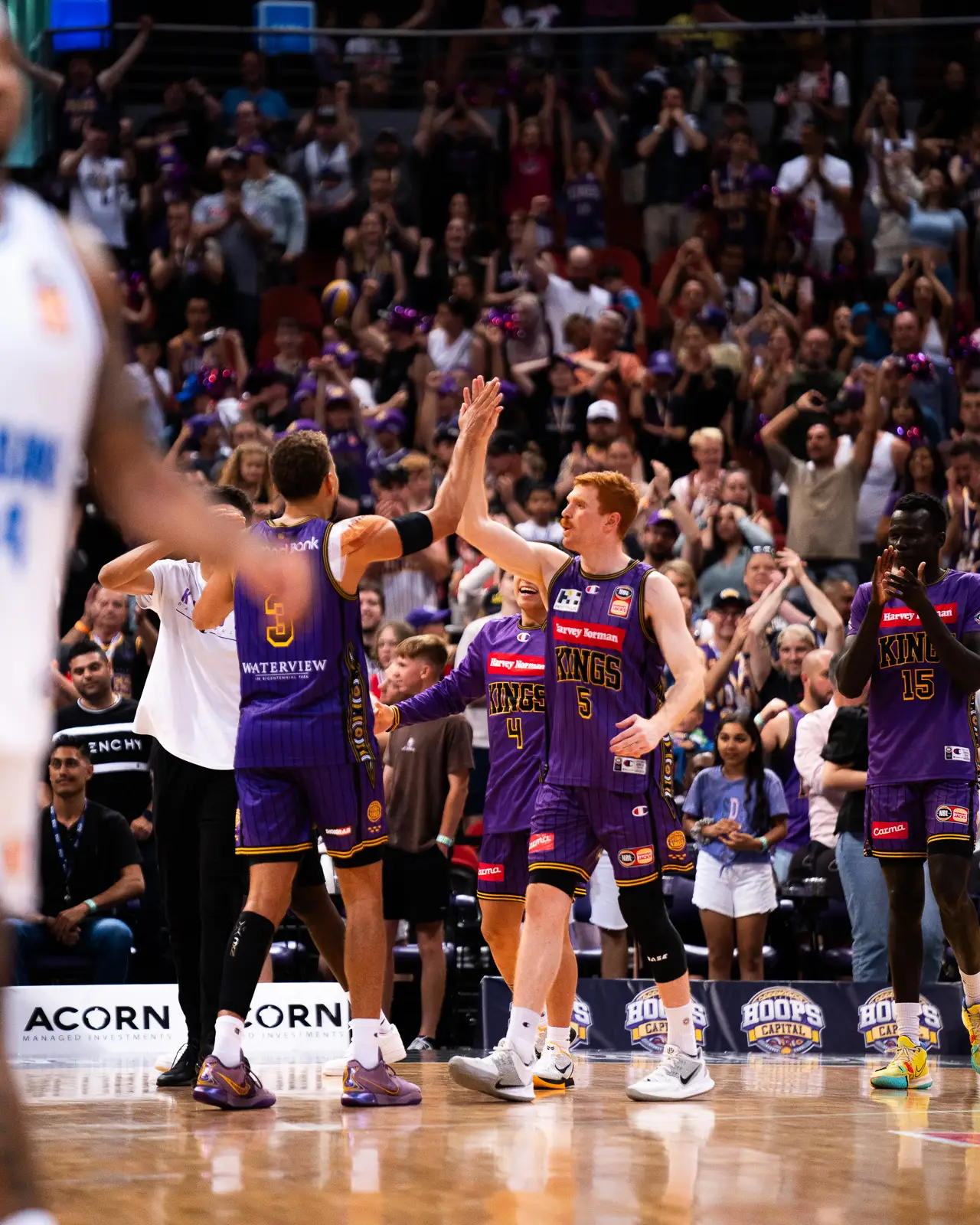 sydney kings nbl basketball players angus glover and dj hogg