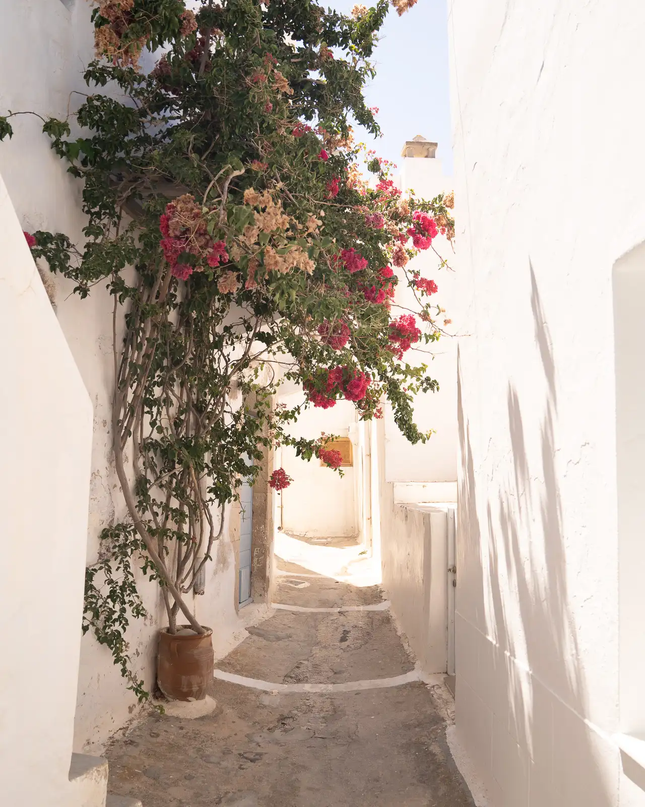 narrow paths with whitewashed walls, stones and bougainvillea flowers inPlaka, Milos - Greece