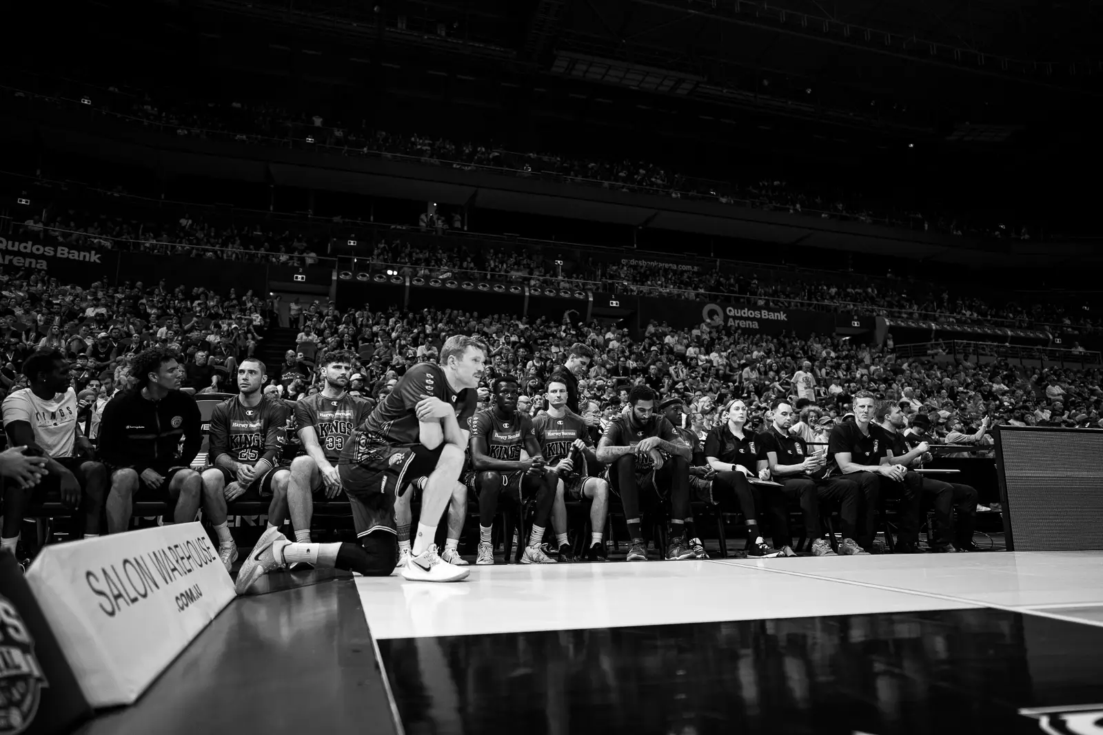 courtside sports photography of angus glover watching the sydney kings nbl basketball