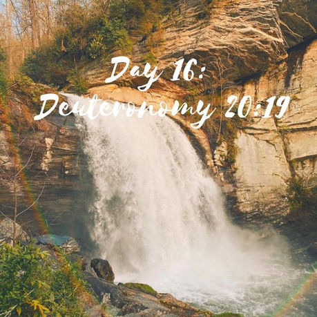 Journey to Earth Day 2022