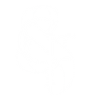 logo3 copywhite.png