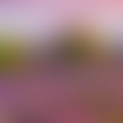 Journey to Earth Day 2022