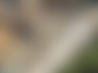 Himalayan Prophets and Shepherds