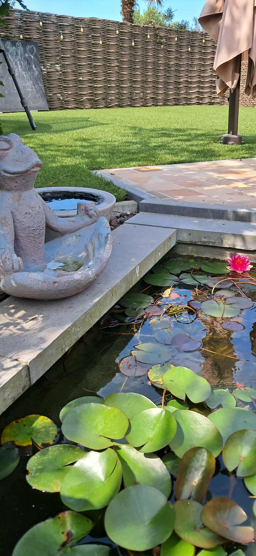 e6738035-dd7d-450c-adcc-3c4e5c7b2152