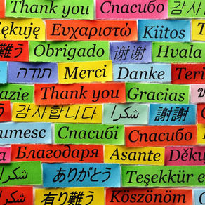 International Mother Language Day