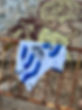 IMG_7973 (2).JPEG