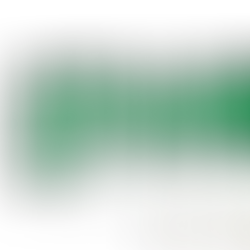 Europa se prepara para una histórica edición de Spannabis