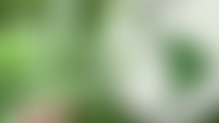 La ciencia derriba estigmas: cannabis y sus nuevos usos terapéuticos en el mundo