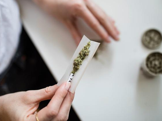  ONU advierte el alto consumo y productos de mayor potencia debido a su legalización
