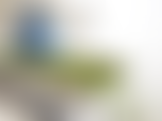 Cannabis medicinal y cáñamo industrial: nuevas reglas, nuevos actores