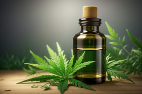 Cannabis medicinal avanzará en cobertura sanitaria provincial de Argentina