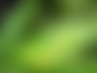 El cáñamo: la planta que podría ayudarnos a enfriar el planeta