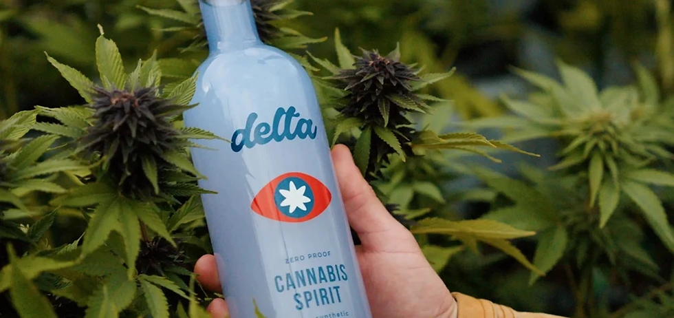 Bebidas de cannabis: la revolución cítrica que desafía a la industria del alcohol