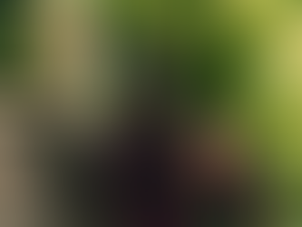 La razón por la cual deberías escuchar Protoje ahora mismo