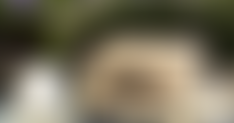 Día de la Modernización Cannábica: por qué hoy es un día clave para Massachusetts