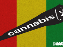 Lo que no sabías del Cannabis