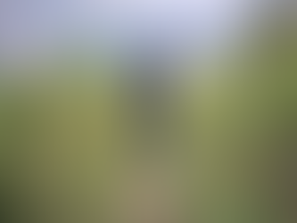 El crecimiento del cannabis en Marruecos: solo con fines medicinales e industriales sigue prohibido