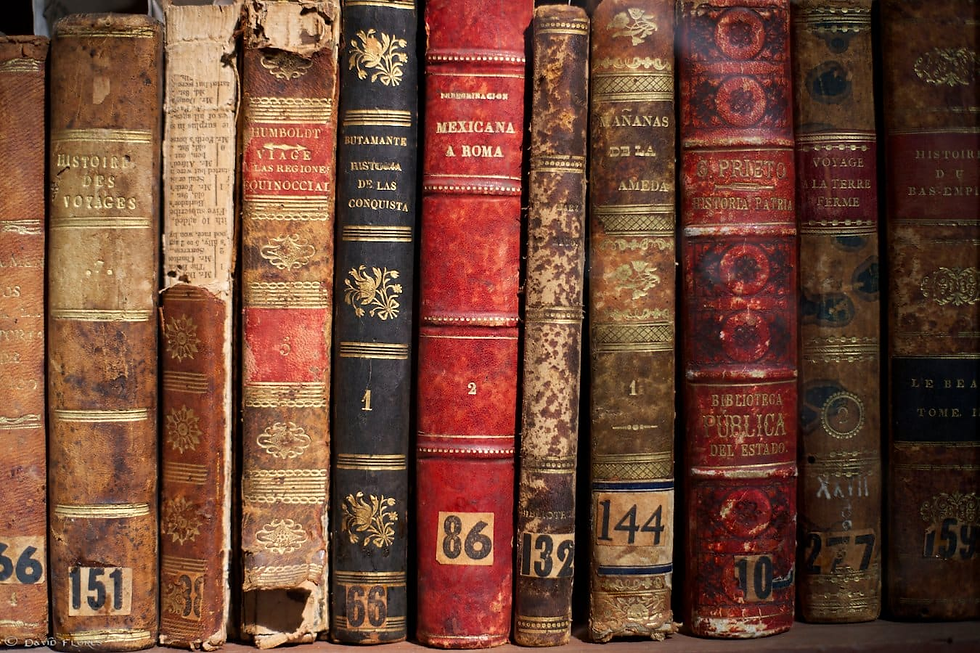 Letras y contracultura: Pulquería en la Roma recibe el tercer remate de libros con ritmo de Ska