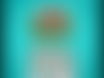 Reggae Rise Up Florida 2026: cuatro días de música, playa y vibras reggae en St. Petersburg