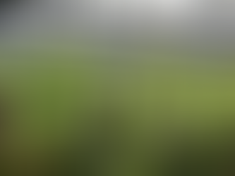 El éxito de la exportación de cannabis medicinal costarricense en Europa