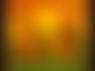 Jah Jah Riddims: roots reggae nacido desde casa con alma y tradición