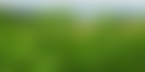 Entre el acceso y el mercado: el complejo panorama del cannabis argentino