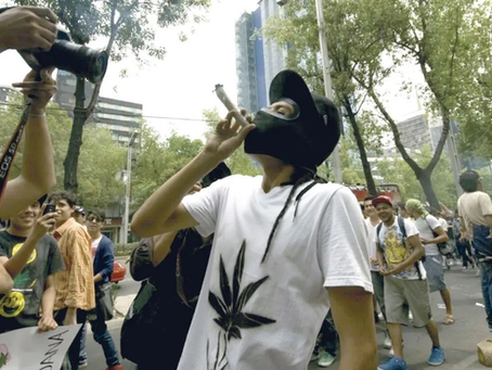 Nuevos puntos para consumo de cannabis en CDMX generan polémica
