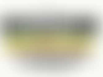 Rototom Sunsplash 2026: siete jornadas de cultura, diversidad y reggae