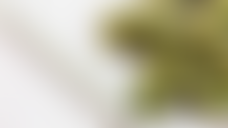 Hawái debate el consumo adulto mientras crecen las expectativas económicas