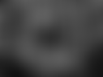 Más allá del baile: por qué el ska-punk es un movimiento contra la violencia y la opresión