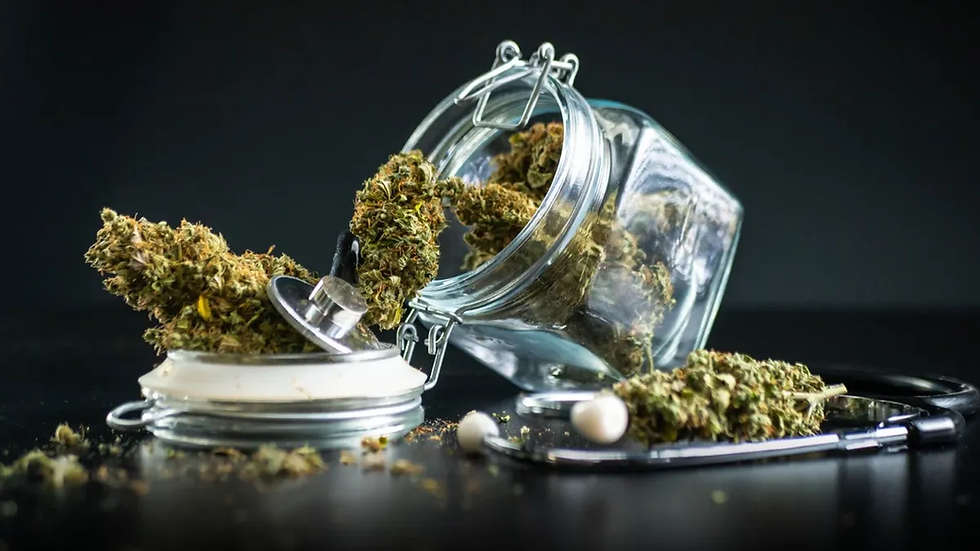 CannaB2B 2026, Argentina impulsa un debate económico para escalar la industria del cannabis