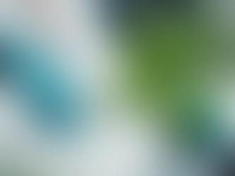 Consumo de cannabis recreativo castigado con cárcel en Japón; medicamentos reciben luz verde