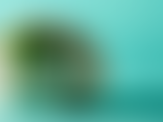 El impacto secreto del consumo excesivo en tu memoria