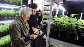La Cannabis Expo se presenta por primera vez en México
