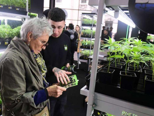 La Cannabis Expo se presenta por primera vez en México