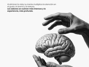 Sombras: donde lo que no ves… se vuelve inolvidable, una experiencia única