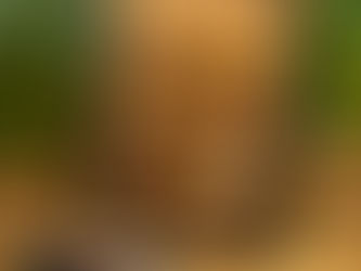 Crujientes y Esenciales: La Entrada que se Roba las Miradas en Seratta