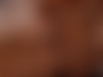 🍫❤️ Bruce: El Chocolate, el Verdadero Lenguaje del Amor en San Valentín