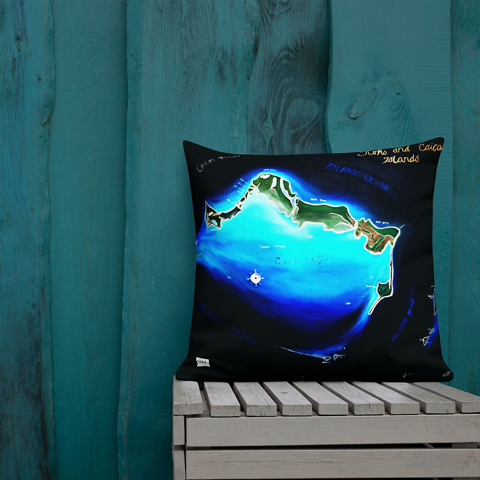 Thumbnail: A Stephen TCI MAP Premium Pillow
