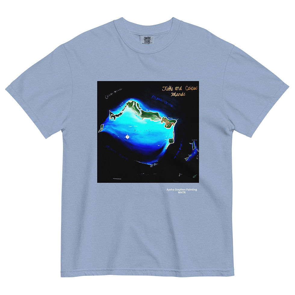 Thumbnail: TCI MAP Unisex garment-dyed heavyweight t-shirt