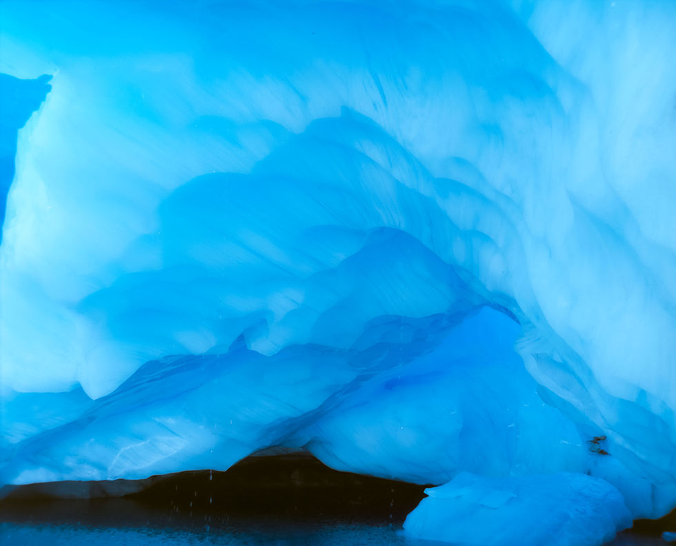 South Island Trip NZ