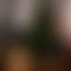 New Zealand Christmas Day