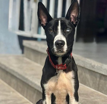 WhatsApp Image 2026-04-23 at 4.45_edited.jpg