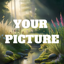 Placeholder nature image with 'Your Picture' text for the 369 Honor Wall, symbolizing recognition and gratitude for supporter