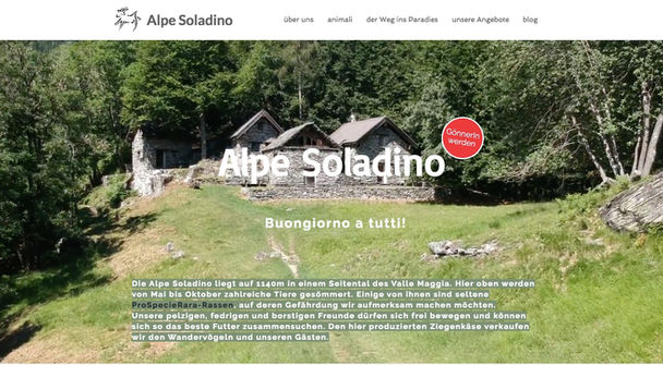 www.alpesoladino.ch