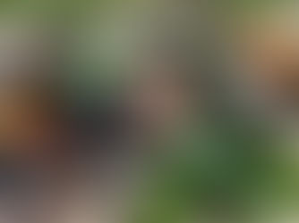 SH Naturpark - Kalender