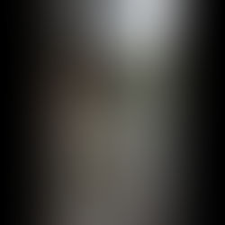 Wandelen met je paard in de winter: Uitdaging of avontuur?