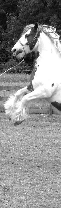 Schermafbeelding 2023-07-05 190233_edited.jpg