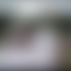 De Kracht van Sociaal Contact